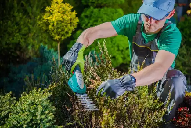 landscaping services Keeseville